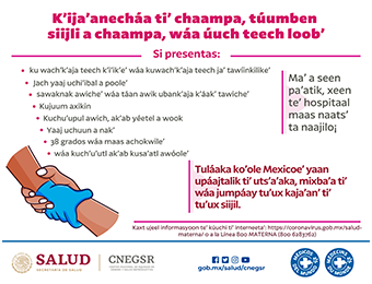 Información en Maya